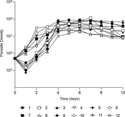 Novel Insights Into Leishmania (Viannia) braziliensis In Vitro Fitness Guided by Temperature Changes Along With Its Subtilisins and Oligopeptidase B